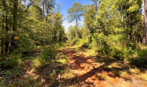 Photo #21 of Todd Quarter, Waterloo, SC