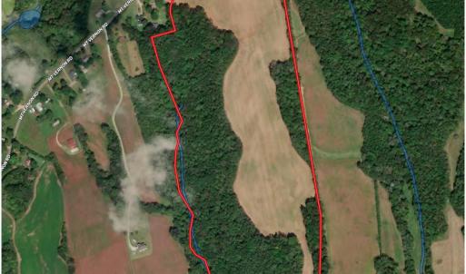 Photo #3 of Needmore, Woodleaf, NC