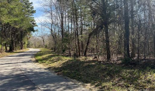 Photo #13 of TBD Green Pond, Indian Land, SC