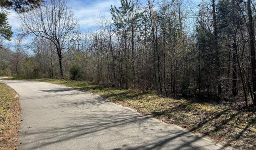 Photo #21 of TBD Green Pond, Indian Land, SC