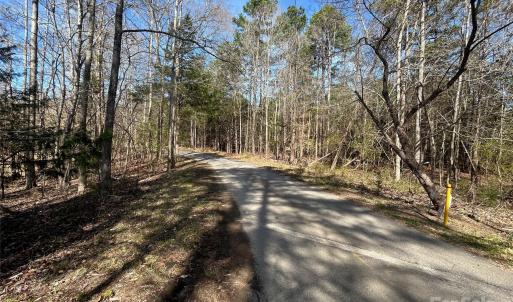 Photo #20 of TBD Green Pond, Indian Land, SC