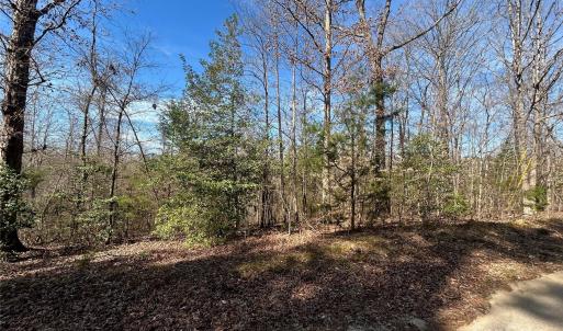 Photo #18 of TBD Green Pond, Indian Land, SC