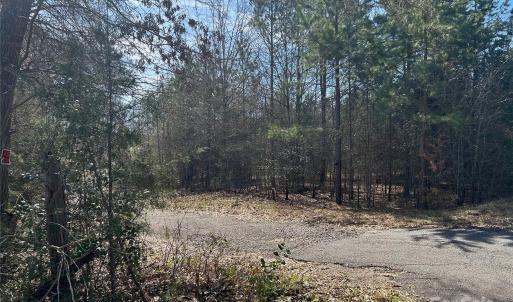 Photo #7 of TBD Green Pond, Indian Land, SC