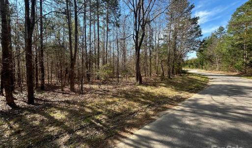 Photo #22 of TBD Green Pond, Indian Land, SC