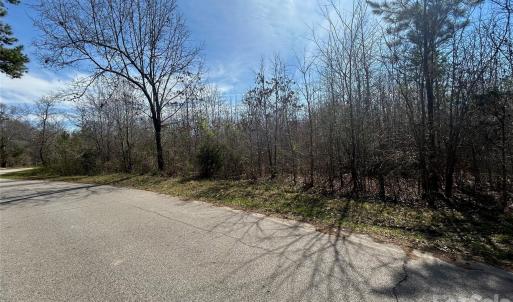 Photo #23 of TBD Green Pond, Indian Land, SC