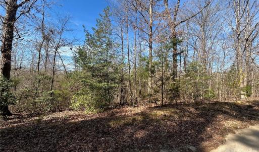 Photo #18 of TBD Green Pond, Indian Land, SC