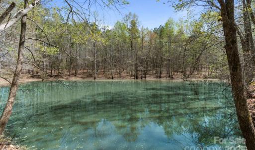 Photo #1 of Adams, Lancaster, SC