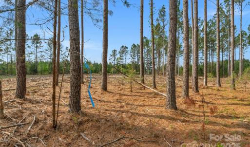 Photo #30 of Old Nunnery Farm, Fort Lawn, SC