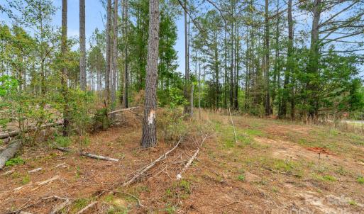 Photo #28 of Old Nunnery Farm, Fort Lawn, SC