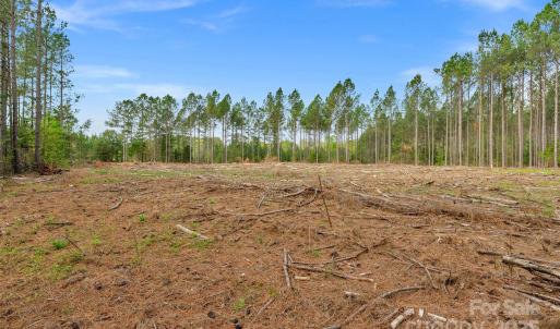 Photo #34 of Old Nunnery Farm, Fort Lawn, SC