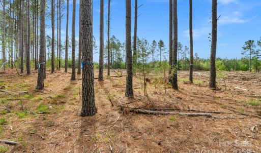 Photo #29 of Old Nunnery Farm, Fort Lawn, SC