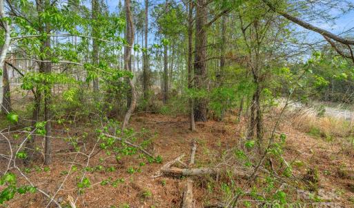 Photo #15 of Old Nunnery Farm, Fort Lawn, SC
