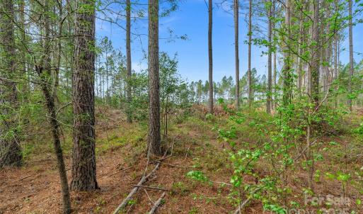 Photo #16 of Old Nunnery Farm, Fort Lawn, SC