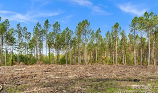 Photo #23 of Old Nunnery Farm, Fort Lawn, SC