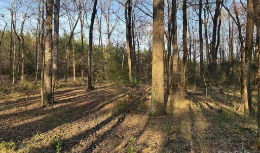 Photo #11 of Griffin Greene, Oakboro, NC