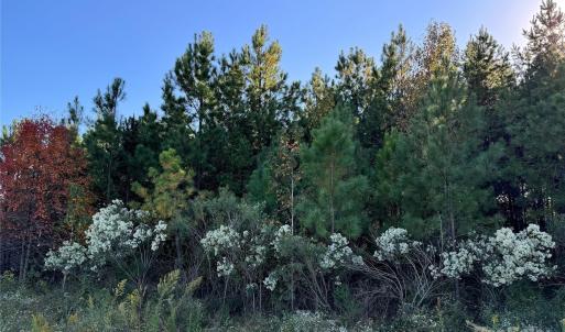 Photo #2 of NE CONNECTOR, Albemarle, NC