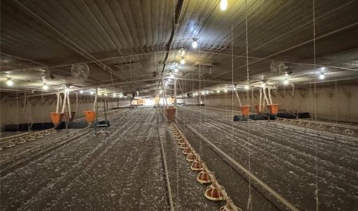 Photo #14 of 182 Lake View, Star, NC