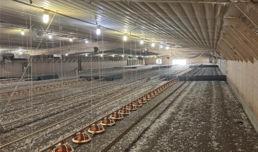 Photo #15 of 182 Lake View, Star, NC