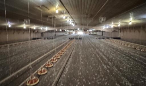 Photo #16 of 182 Lake View, Star, NC