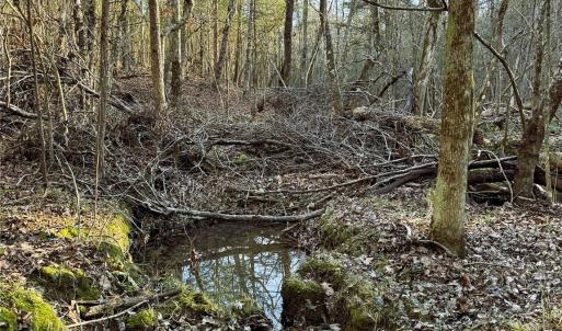 Photo #22 of Daystar, Lancaster, SC