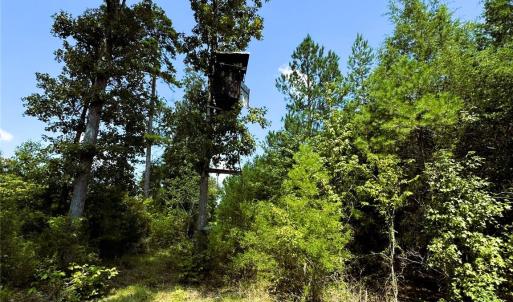 Photo #12 of Daystar, Lancaster, SC