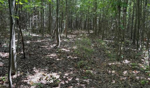 Photo #13 of Daystar, Lancaster, SC