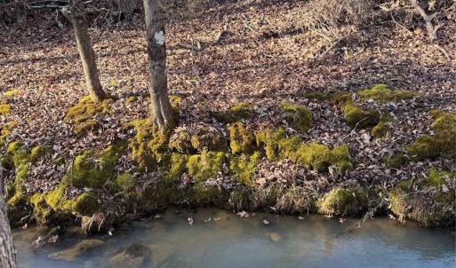 Photo #17 of Daystar, Lancaster, SC