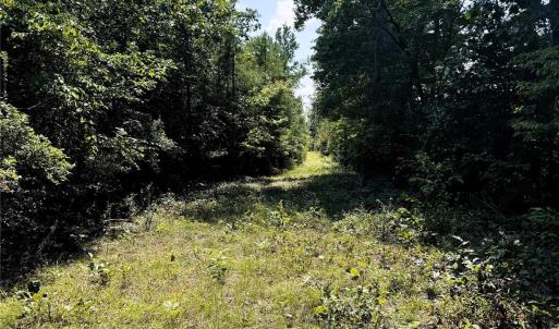 Photo #10 of Daystar, Lancaster, SC