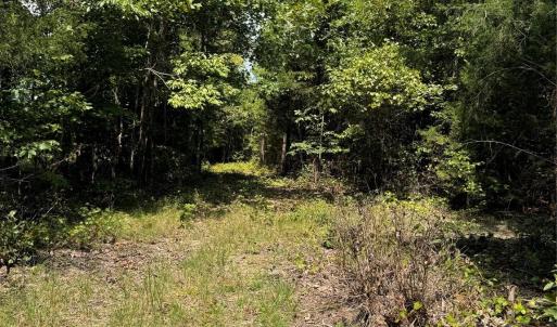 Photo #11 of Daystar, Lancaster, SC