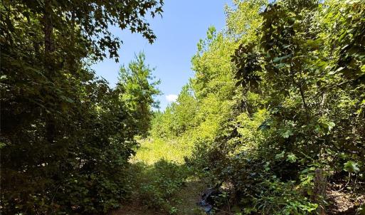 Photo #9 of Daystar, Lancaster, SC