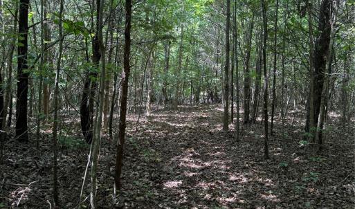 Photo #14 of Daystar, Lancaster, SC