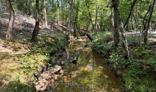 Photo #6 of Daystar, Lancaster, SC