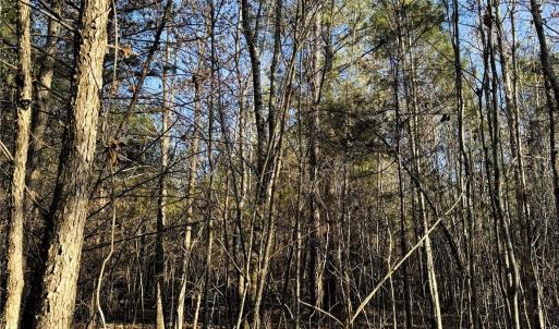 Photo #23 of Daystar, Lancaster, SC