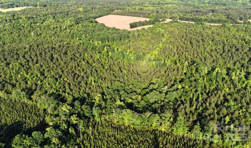 Photo #2 of Daystar, Lancaster, SC