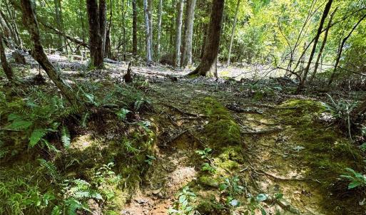 Photo #5 of Daystar, Lancaster, SC