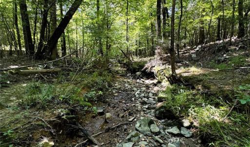 Photo #8 of Daystar, Lancaster, SC