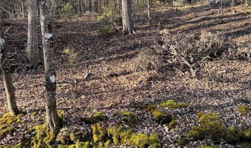 Photo #16 of Daystar, Lancaster, SC