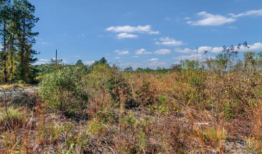 Photo #15 of Riley, Chesterfield, SC