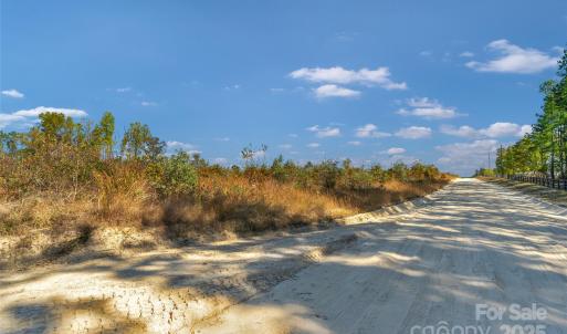 Photo #16 of Riley, Chesterfield, SC