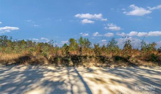Photo #10 of Riley, Chesterfield, SC