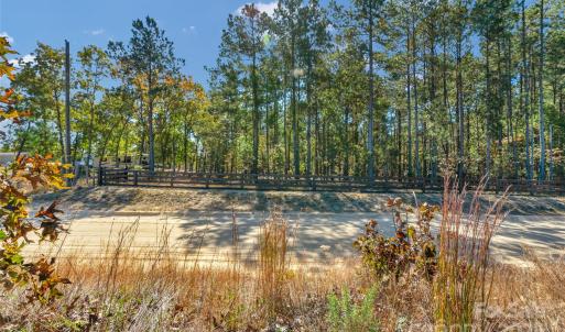Photo #6 of Riley, Chesterfield, SC