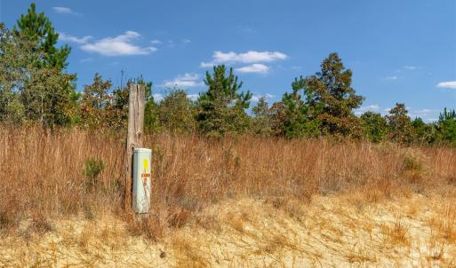 Photo #22 of Riley, Chesterfield, SC