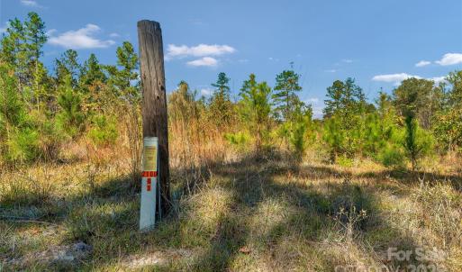 Photo #23 of Riley, Chesterfield, SC