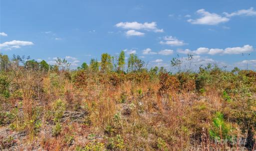 Photo #17 of Riley, Chesterfield, SC