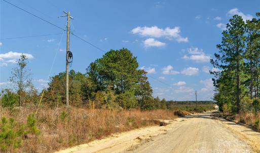 Photo #4 of Riley, Chesterfield, SC