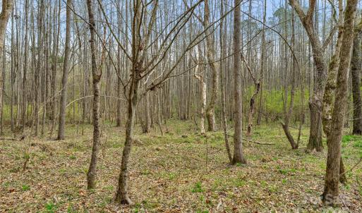 Photo #7 of J B Denton, Lancaster, SC