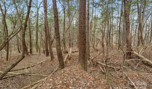 Photo #18 of J B Denton, Lancaster, SC