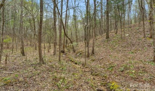 Photo #13 of J B Denton, Lancaster, SC