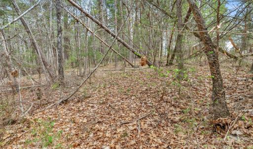 Photo #19 of J B Denton, Lancaster, SC