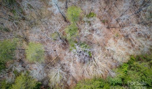 Photo #29 of J B Denton, Lancaster, SC